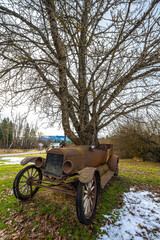 Fototapeta na wymiar Old Car with Trees Grown through the Body