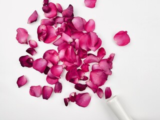 Spilled rose petals from a fallen vase, Valentine card 