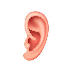 Vector ear in mesh gradient style. Editable illustration