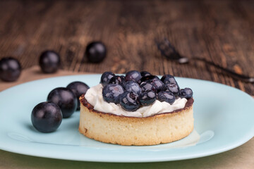 tartlet with chocolate and buttercream with blueberries