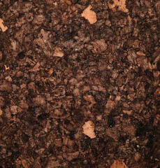 Dirt background or texture. Textured fertile soil. Natural brown.