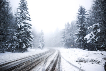 Obraz premium road in winter forest
