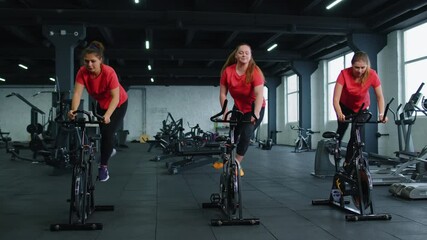 Group of smiling friends at gym exercising on stationary bike. Happy cheerful athletes training on exercise bike. Young women working out at class in gym. Weight loss, fat burning. Modern active sport