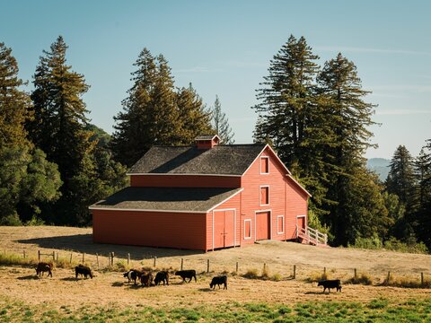 A red barn in Woodside, California
