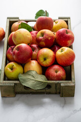 Close up of Harvest of ripe apple fruits in crate on light table