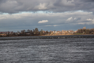 Fototapeta premium close-up river panorama with a cargo ship in the background 