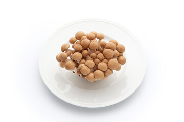 お皿にのせた ぶなしめじ キノコ 白背景