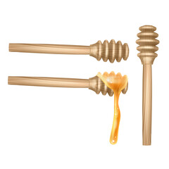 Honey dipper and liquid honey drooping, Realistic vector illustration isolated on white background