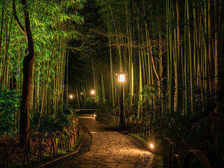 伊豆修善寺温泉街「竹林の小径」の夜景
