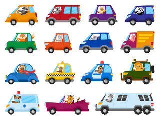 Fototapeta na wymiar Cute cartoon animal drivers on toy cars, animal character drive toy transport. Animals, lion, mouse and racoon drive toy cars vector illustration set. Funny animal drivers