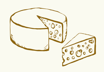 A slice of Dutch cheese. Vector drawing