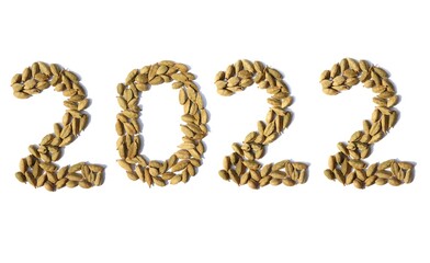 2022 Written With Cardamom or Ilaichi on White Background, Conceptual Photo of Happy New Year 2022