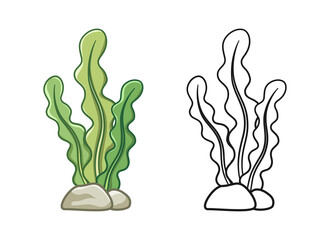 Underwater seaweed colored and outline set vector illustration clipart © Aletheia Shade