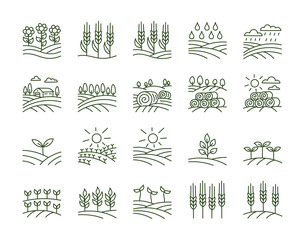 Agriculture field icons set. Barley spikelet. Editable stroke size. Vector line. © Ilia