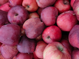 red fresh apples of the new harvest on the counter of the vegetable market close-up 