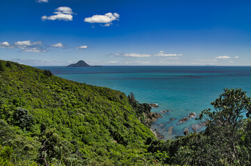 The Bay of Plenty and Moutohara (Whale Island), as seen from the densely forested coast of Kohi Point Scenic Reserve near Whakatane, North Island, New Zealand.
