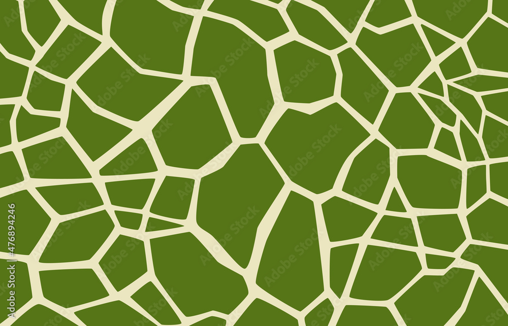 Wall mural the green pattern is like a turtle shell foam.