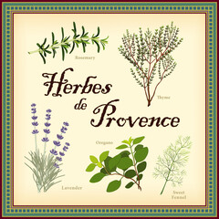 Herbes de Provence, Lavender, Rosemary, Thyme, Sweet Fennel, Oregano. Classic blend of aromatic herbs from southwest France, flavors fish, meats, olives, potatoes, stews, soups, sauces, mosaic frame.