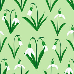 Spring seamless pattern with snowdrops