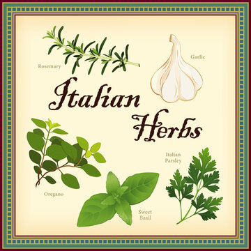 Italian Herbs, classic blend of Rosemary, Garlic, Italian Oregano, Sweet Basil and Italian  Flat Leaf Parsley, mosaic frame.