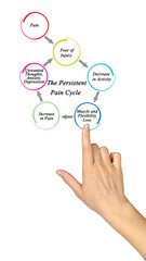 Fototapeta premium Components of Persistent Pain Cycle