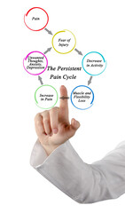 Components of Persistent Pain Cycle