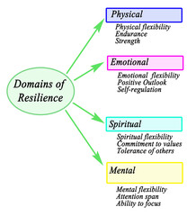 Four Domains of Personal Resilience..