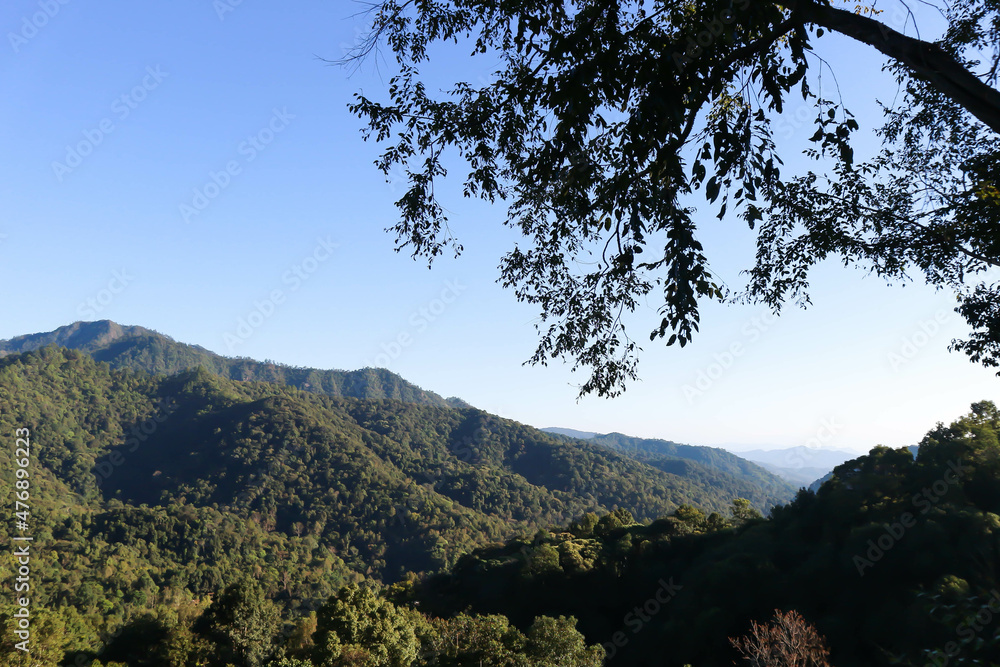 Wall mural mountain view or sky , tree and mountain