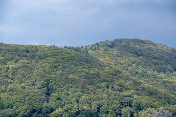 Fototapeta na wymiar Landscape of Heidelberg mountain covered in trees in Baden Wurttemburg Germany