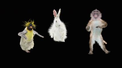 monkey and Rabbit, penguin Dancing, 3d rendering, Animation Loop, cartoon. included in the end of the clip with Luma matte. - Powered by Adobe