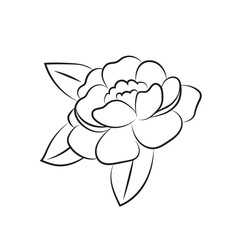 Peony flower drawn by lines. Isolated bud on a branch. Shabby chic cards and invitations