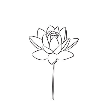 The lotus flower is drawn with a line. Water lily isolate. Doodle drawing lotus for invitations, stamps or business cards