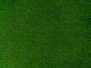 Green grass texture background grass garden concept used for making green background football pitch, Grass Golf, green lawn pattern textured background..