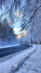 Winter forest. Street and sidewalk in a snowy forest, without people.