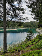 Turquoise water of the Caumasee lake surrounded by trees - Flims, Switzerland