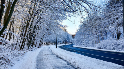 Winter forest. Street and sidewalk in a snowy forest, without people.