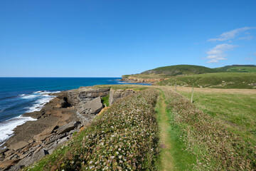 Cliffs surrounded by vegetation under a cloudless sky.