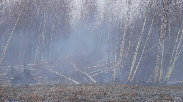 A shot of peat bog fire