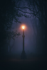 Lantern in the fog in the park at night 