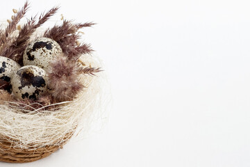 Easter decorative nest with small spotted eggs decorated by dried fluffy grass on white background, copy space for greeting text