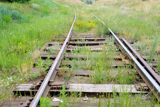 railroad tracks in the forest