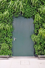 the door on the background of a wall with plants