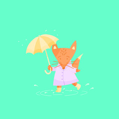 cute fox walks through the puddles and holds an umbrella