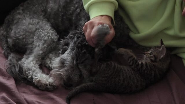 A woman together with her pets