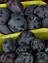 Blaue Pflaumen / Zwetschgen in der Schale