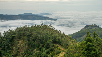 Fototapeta na wymiar Amazing mountain landscape with clouds, tea estate natural outdoor travel background. Beauty world.