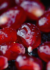 pomegranate seeds close-up