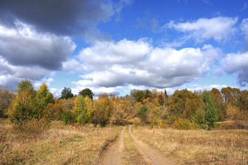 an empty country road in an autumn forest, beautiful white clouds in a blue sky, the nature of Russia 
