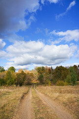 Fototapeta na wymiar an empty country road in an autumn forest, beautiful white clouds in a blue sky, the nature of Russia