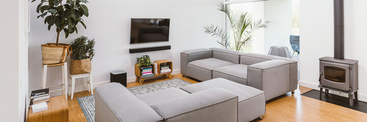 TV, pants and grey lounge furniture in spacious living room inte